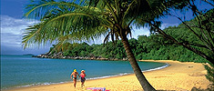 Palm Cove Beach