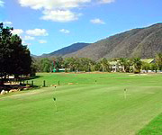 Golf Palm Cove Australia