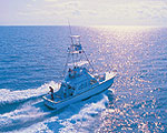 Chartered Fishing Trips
