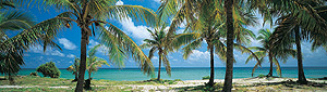 Accommodation and Tour discounts in Palm Cove and Cairns